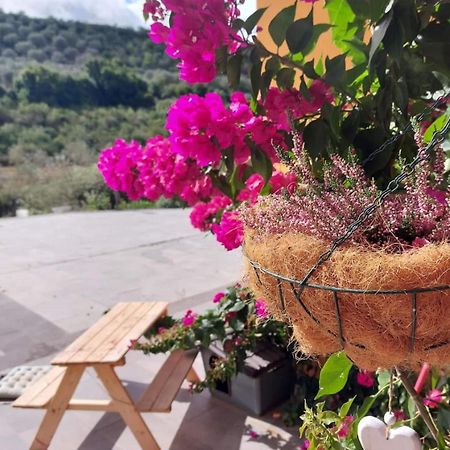 Villa I Sogni Sennori Dış mekan fotoğraf