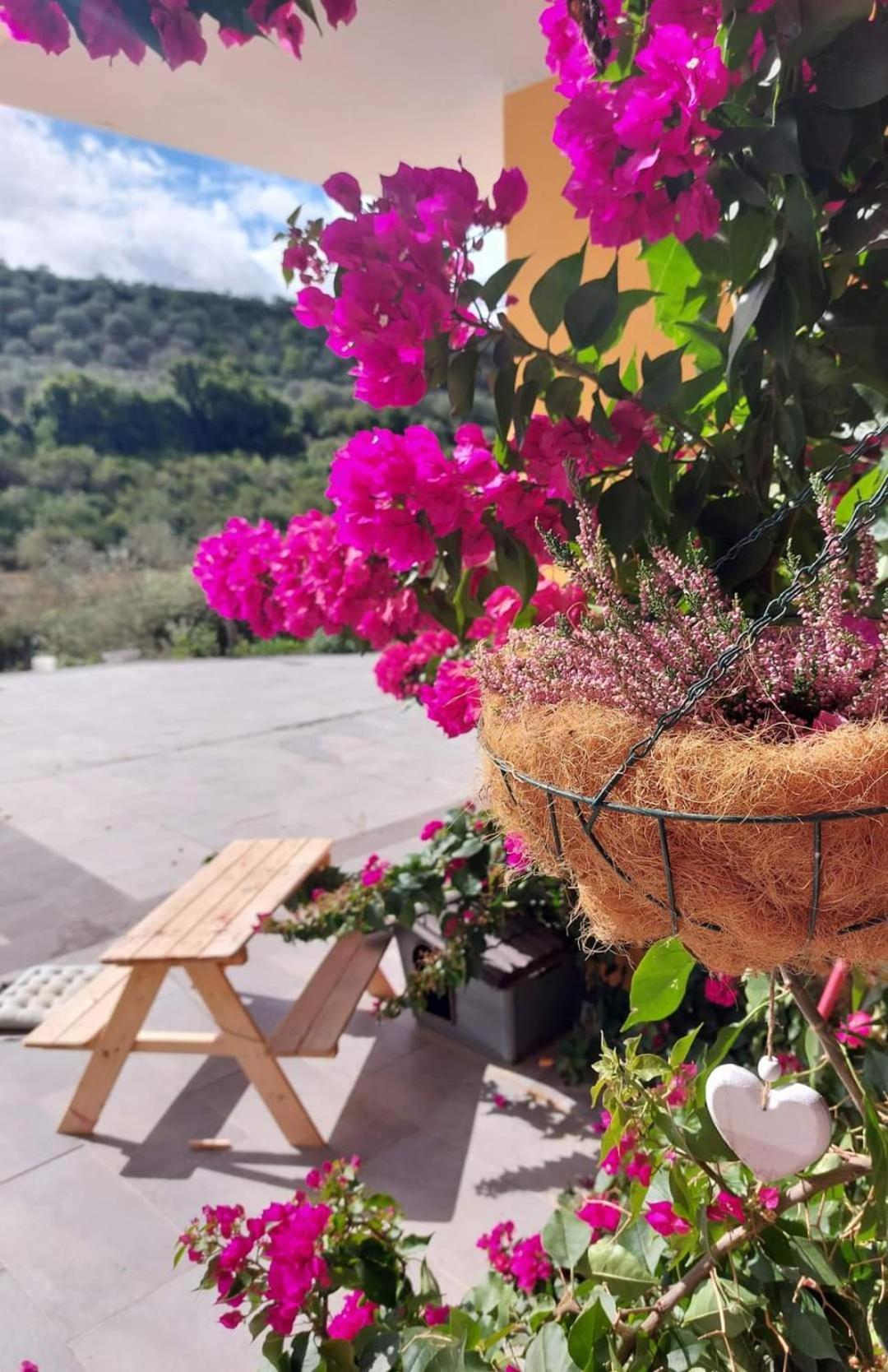 Villa I Sogni Sennori Dış mekan fotoğraf